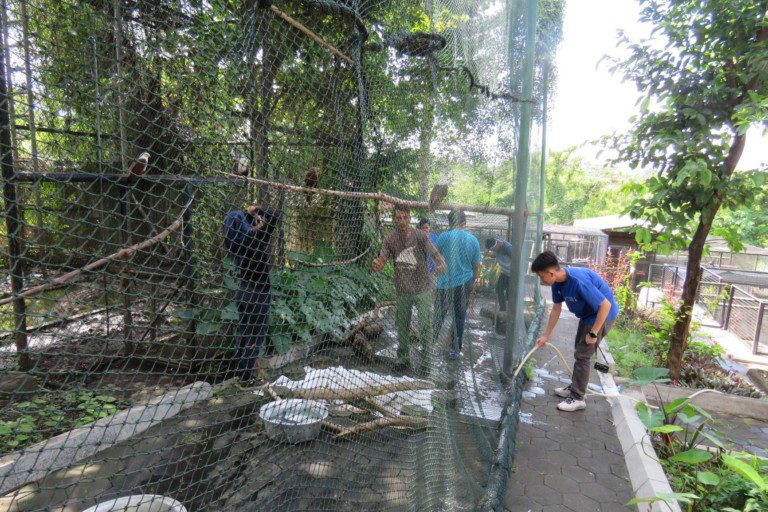 Cleaning the cages