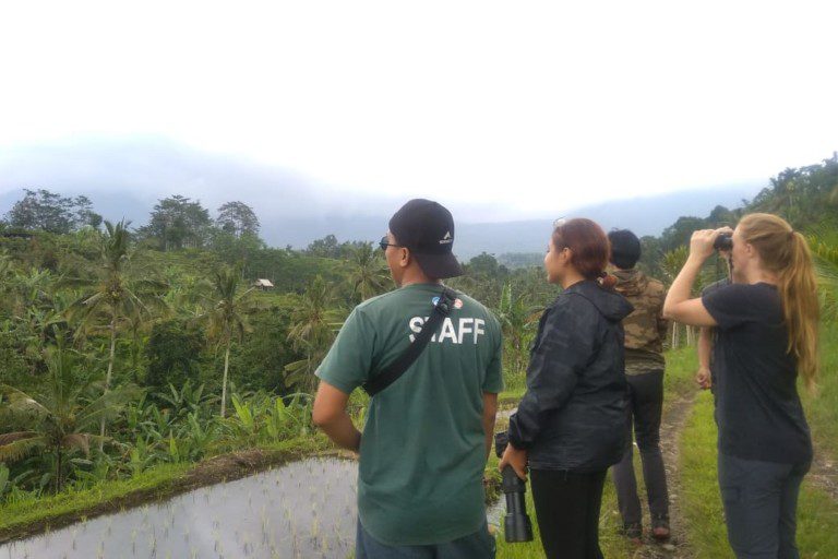 A team out in the field monitoring the bird population