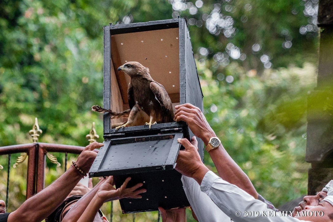 Besikalung Wildlife Sanctuary