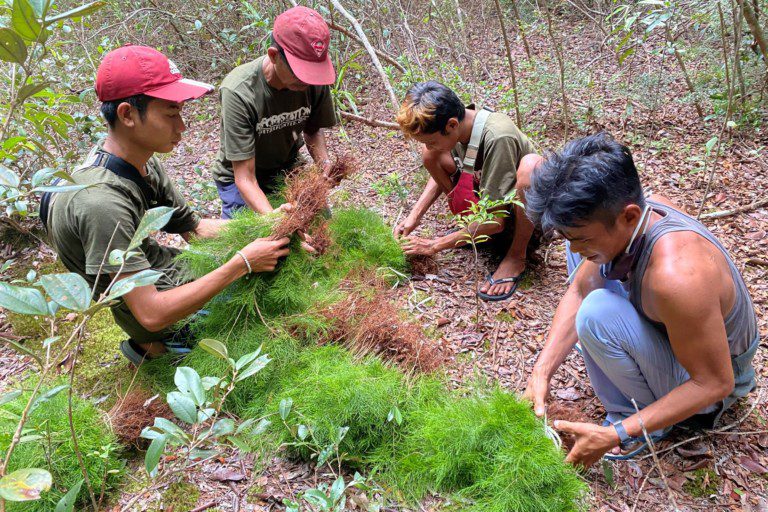 Friends of Nature, People and Forests staff and volutneers in Kalimantan working to restore the forests of Tanjung Puting National Park.