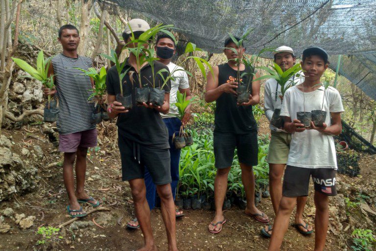 Saplings distribution to locals resized