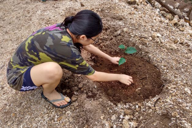 Tree planting with Friends of Nature, People and Forests on Nusa Penida island, Bali, Indonesia