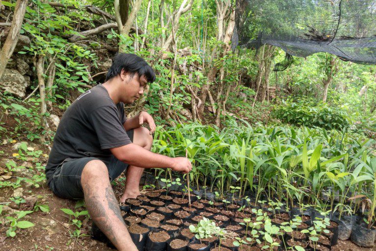 Friends of Nature, People and Forests nursery on Nusa Penida, Bali, Indonesia